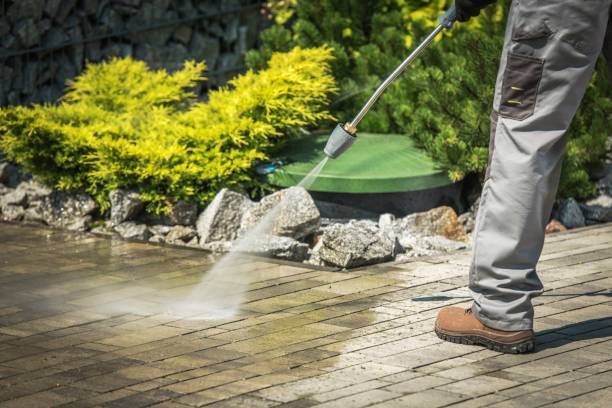 Best Pool Deck Cleaning in Wake Forest, NC