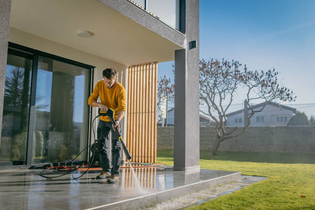 Best Driveway Cleaning and Restoration in Wake Forest, NC